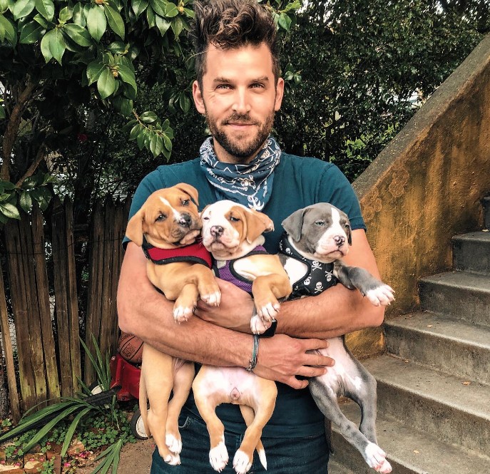 a man holds three puppies in his arms