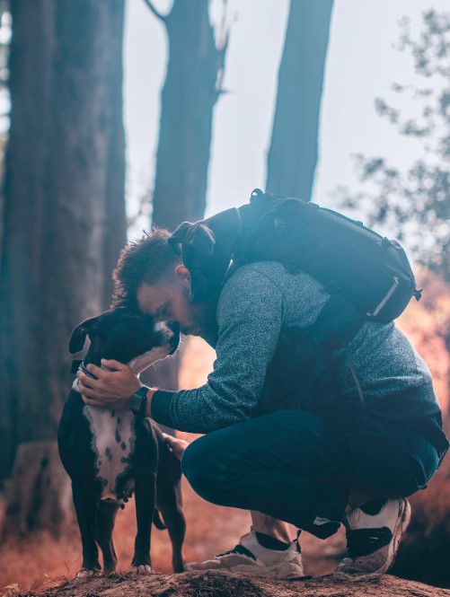 a man and a dog exchange affections in the forest