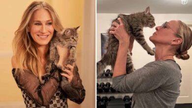 Sarah Jessica Parker Adopts The Kitten From Her Series ‘And Just Like That’