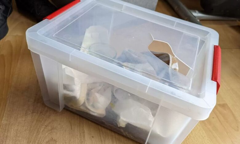Woman Was Heartbroken When She Saw What Was Hiding In A Plastic Box By The Road