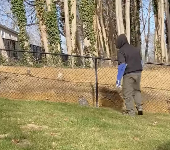 man checking the fence