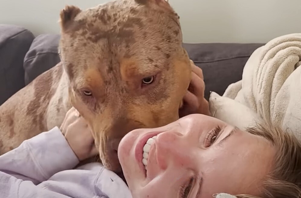pitbull licking woman's neck