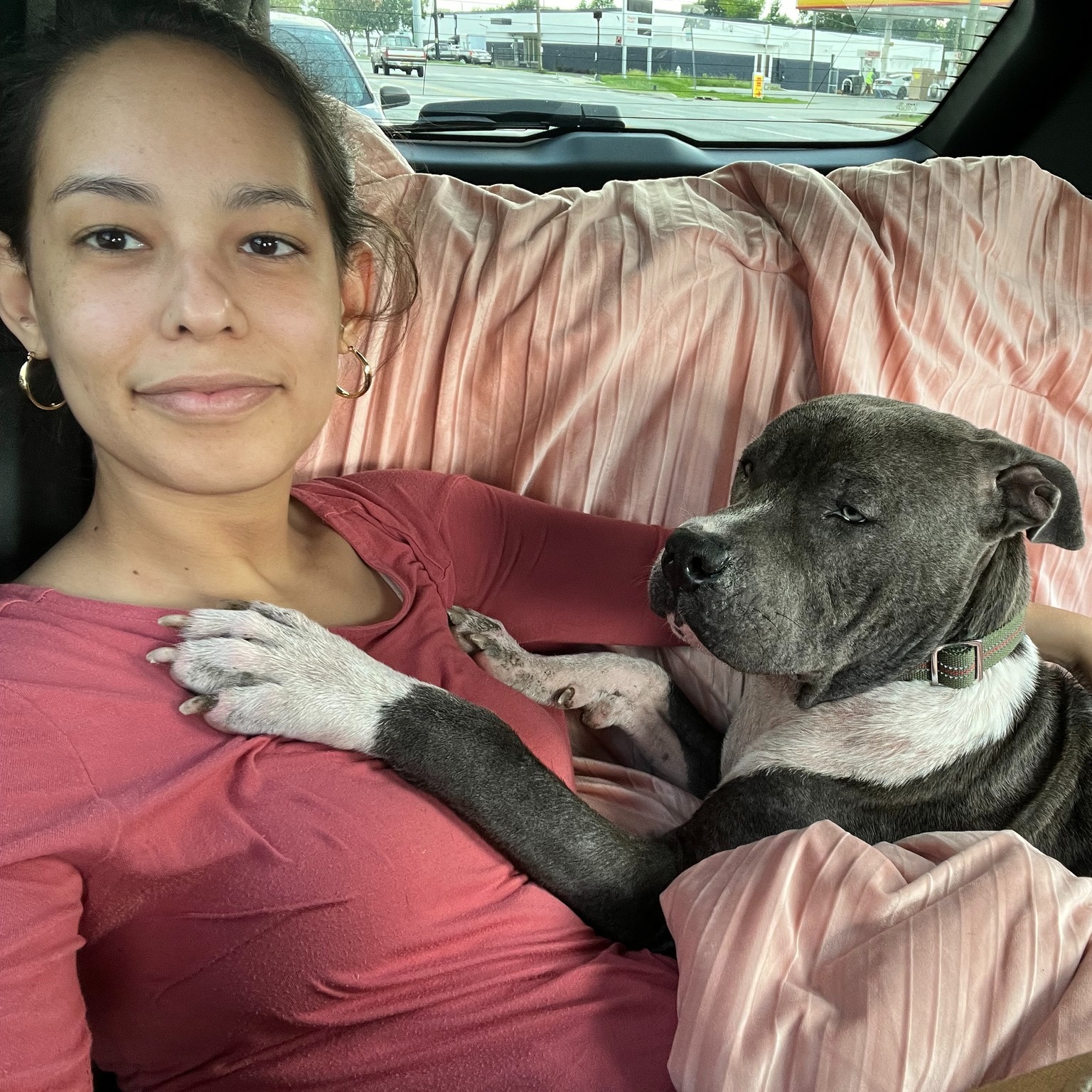 dog lying in the car with woman