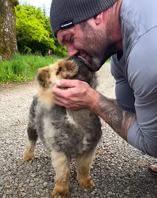 guy kissing a dog