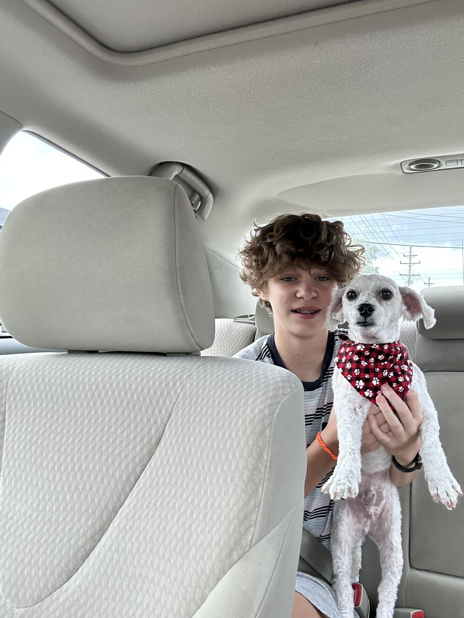 kid holding a dog