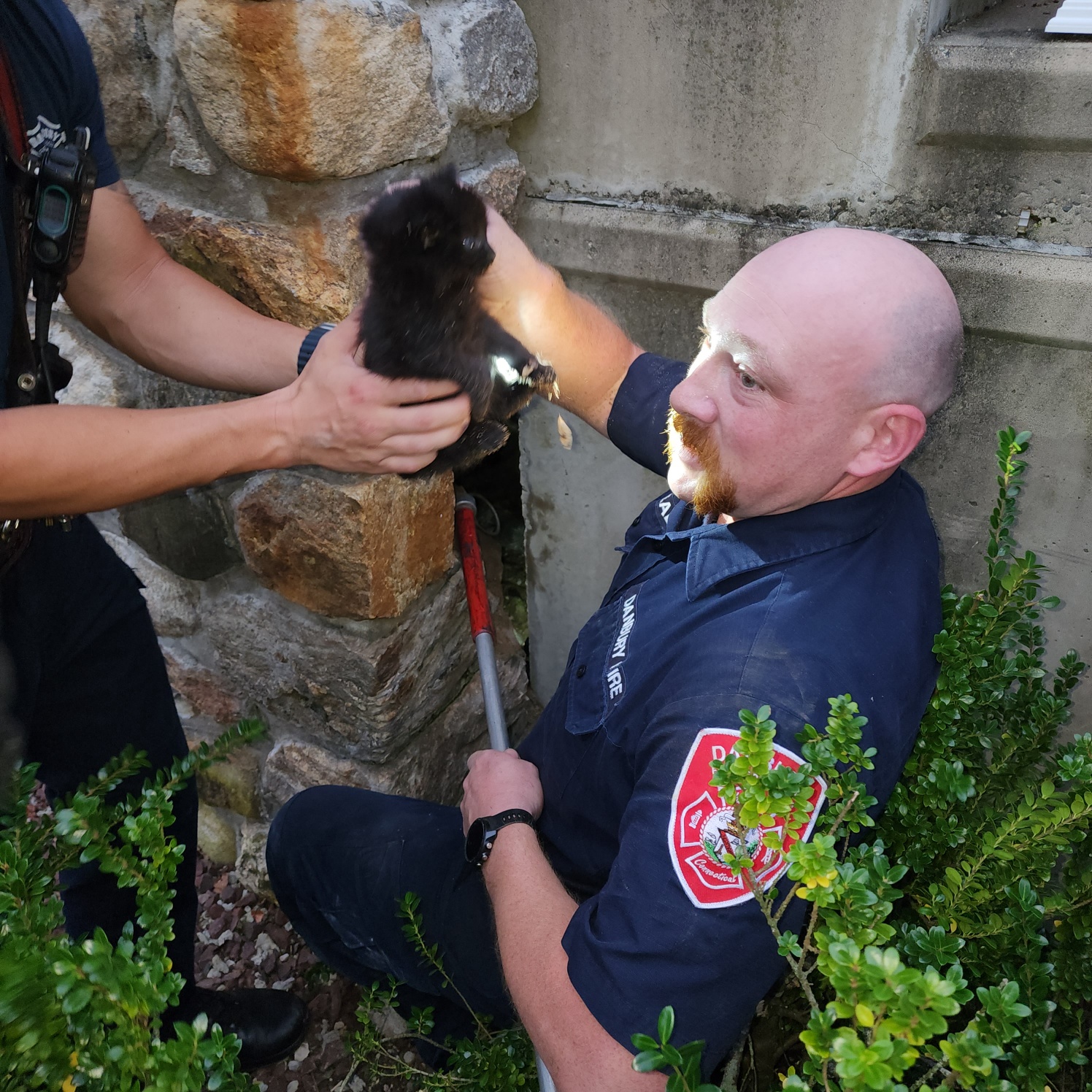 firefighters pulling out kittens