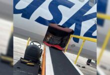 What These Airline Workers Found In Cargo Hold Will Shock You