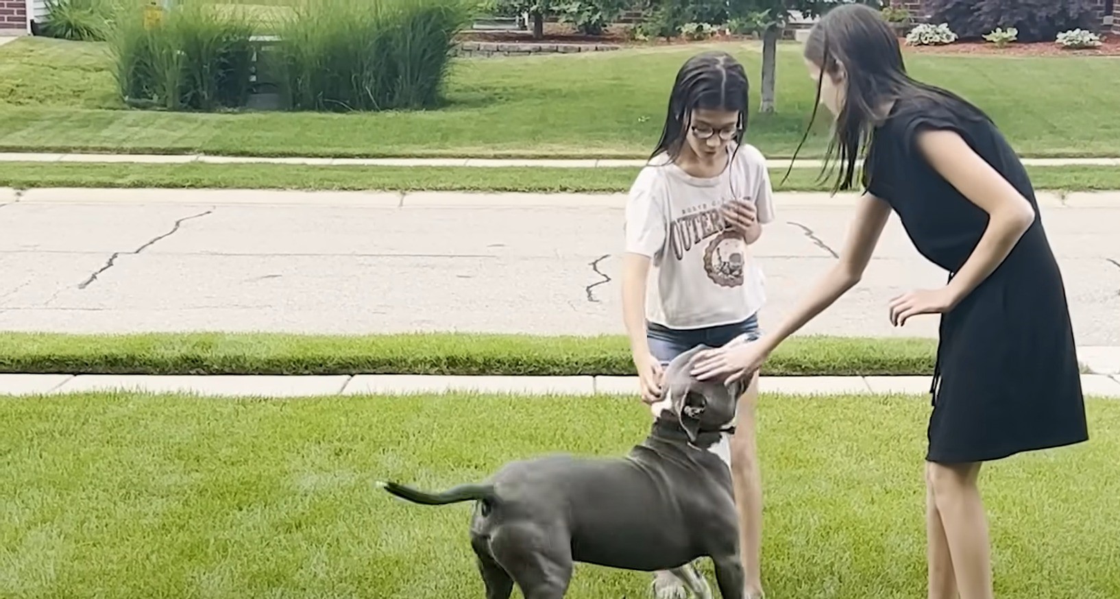 two girls petting the pit bull outside