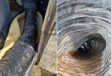 People Were Shocked To Discover The Source Of Cries Coming From The Tube Of Insulation