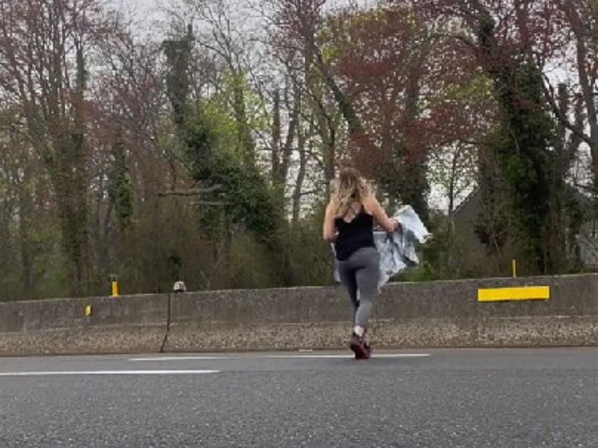 a woman steps up to save a wild animal on the highway