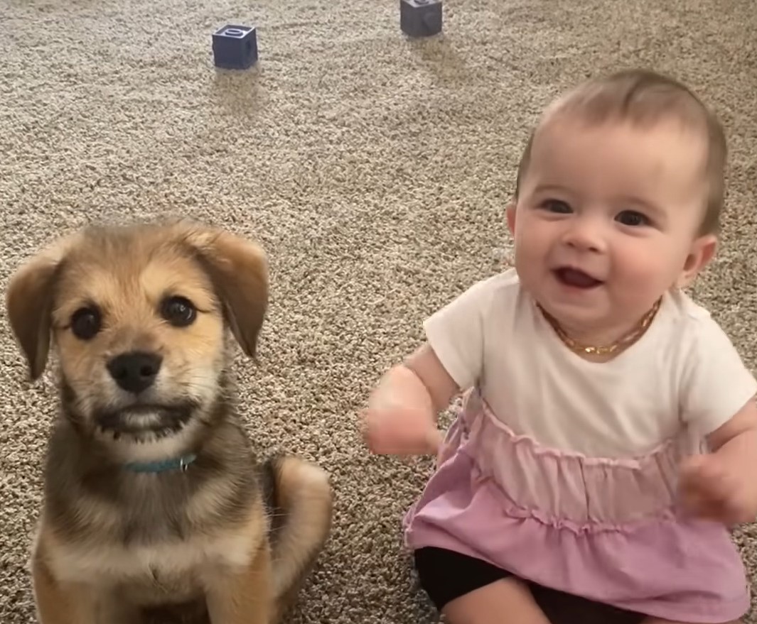 smiling baby with puppy