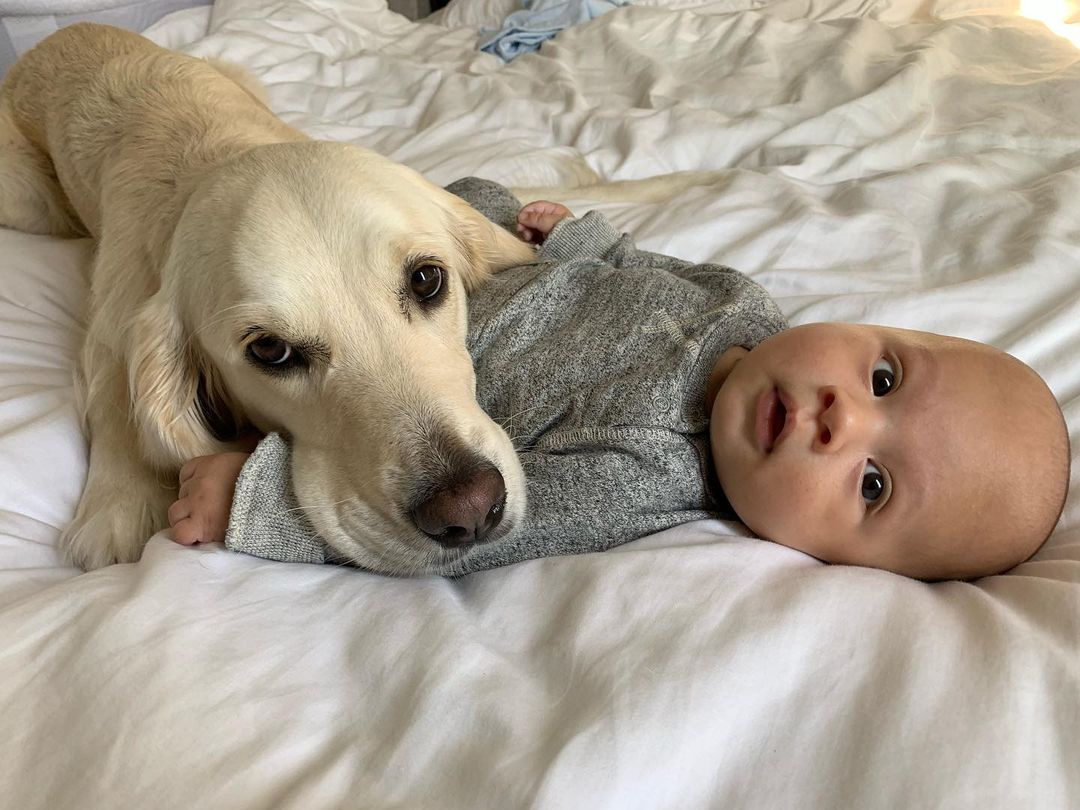 dog laying on a baby