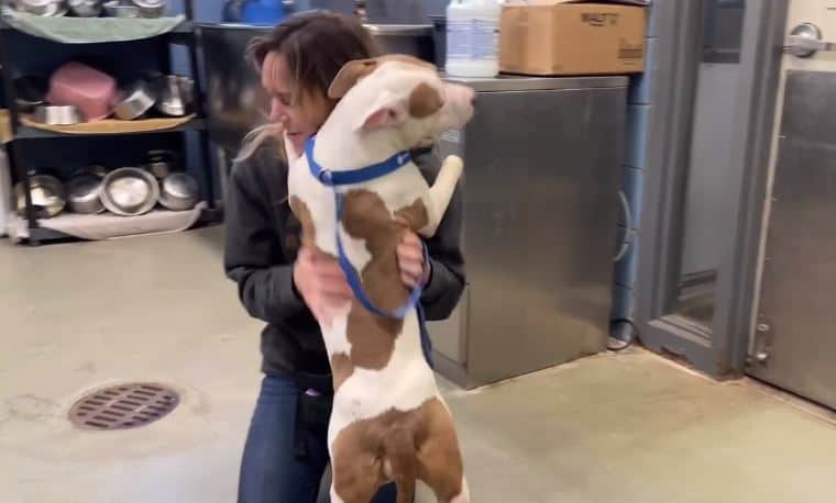 abandoned dog hugs a woman at the airport
