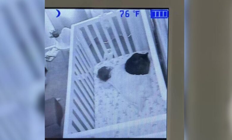 Mother’s Heart Races As Baby Monitor Reveals A Mysterious Black Lump In Daughter’s Crib