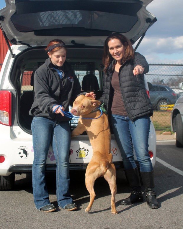 a dog with two women who want to adopt him