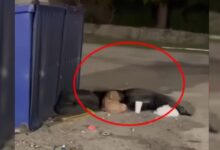 Rescuers Were Heartbroken When They Found This Pup Living Near A Dumpster