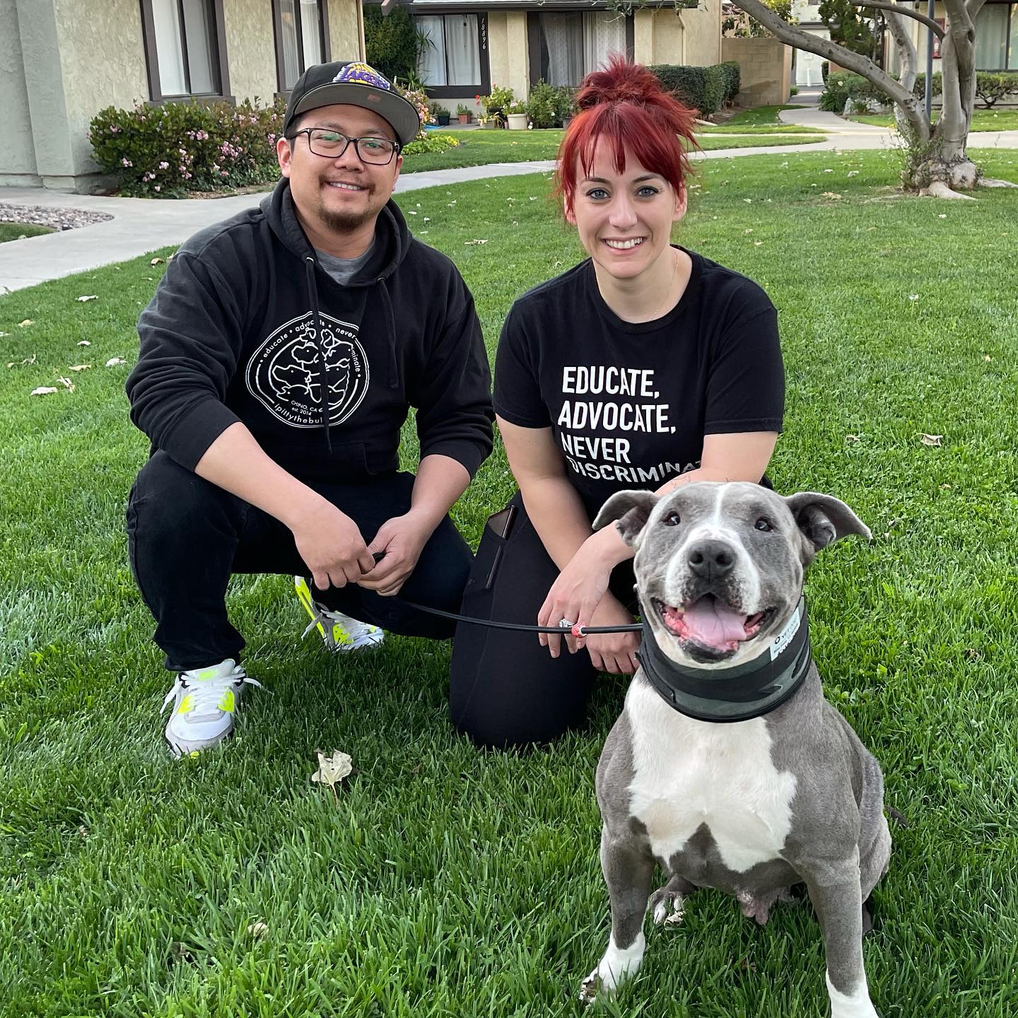 man and woman posing with pitbull