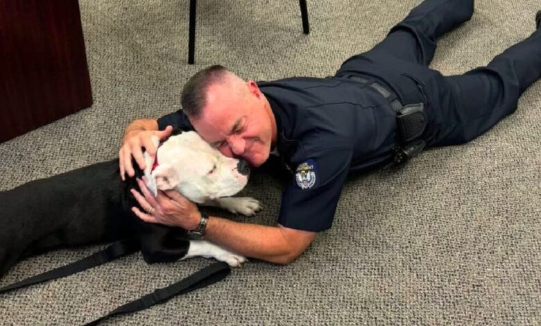 Shelter Pup Takes a Brief Tour Of The Department, Ends Up Joining The Police Family