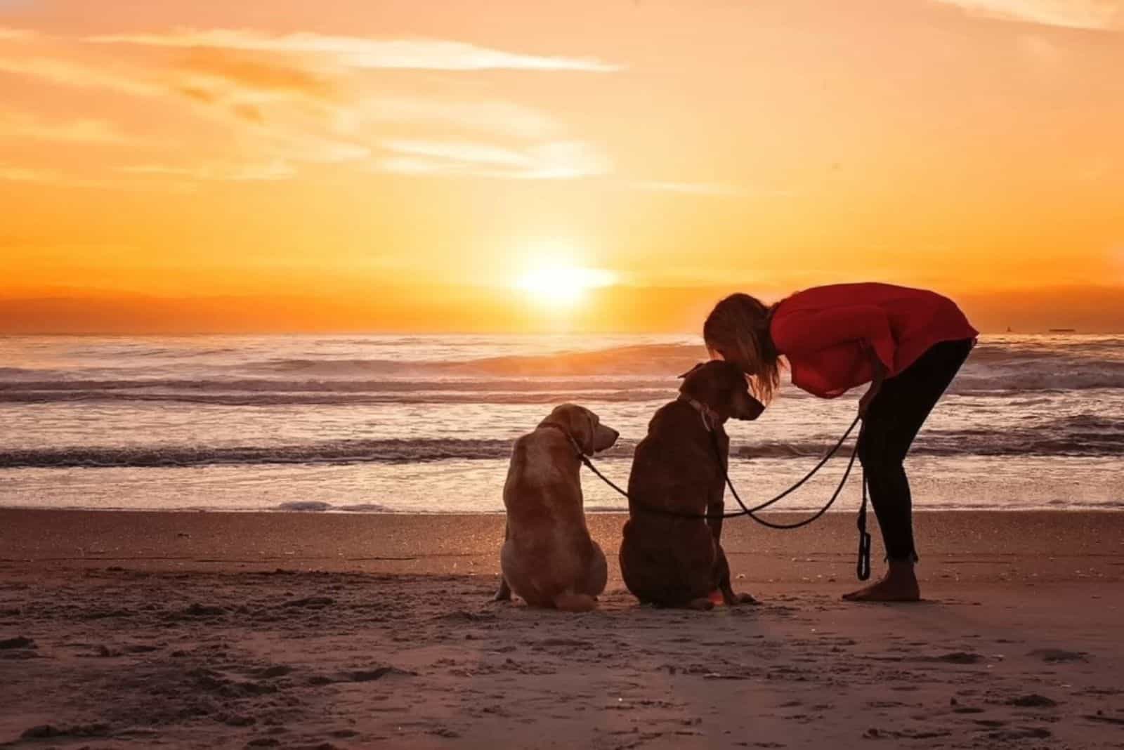 woman with two dogs on the beach at sunset