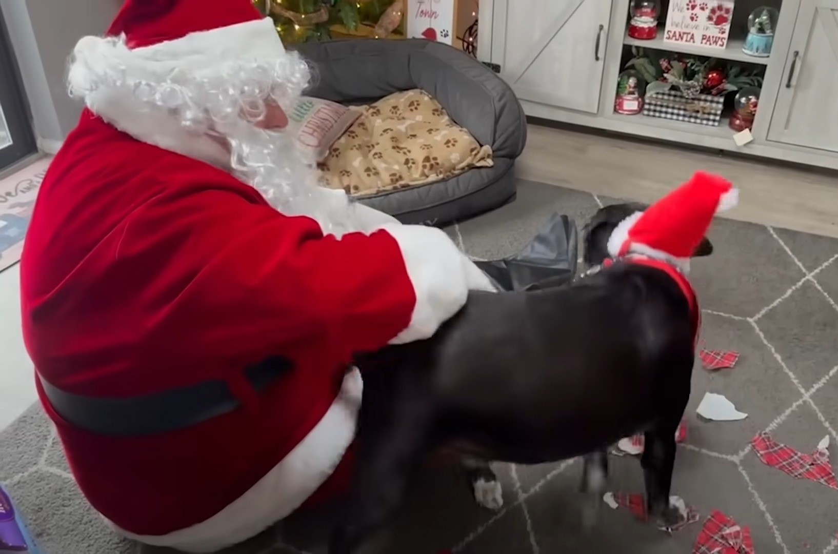 Santa Claus and black dog