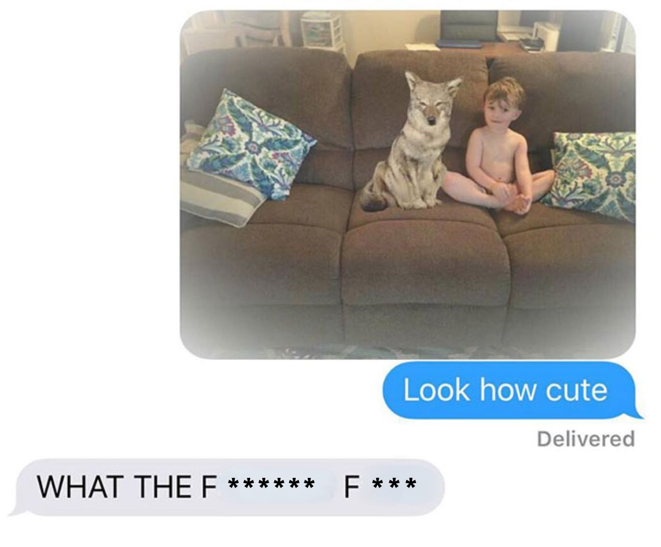 photo of child and coyote on a couch