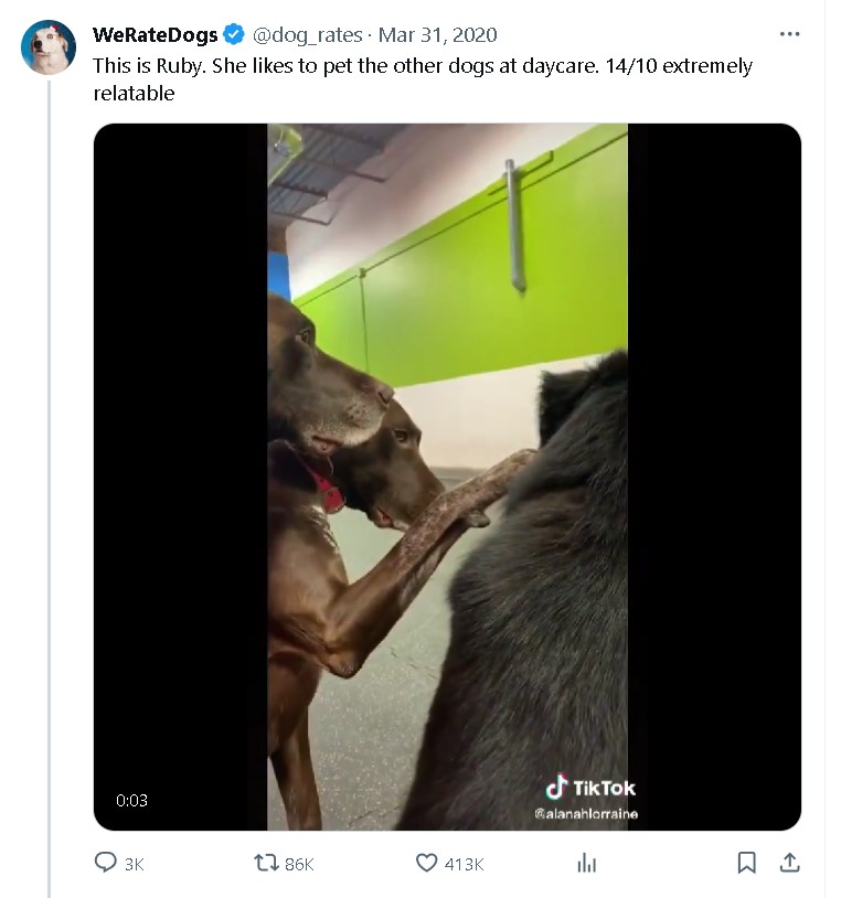 twitter post and dog petting other dog