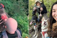 Couple Saves Their Dog From A Dangerous Fall Off A Cliff In Oregon Woods