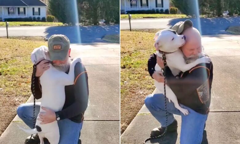 Dog Who Was Rescued From Abusive Owners Can’t Stop Showering His New Dad With Affection
