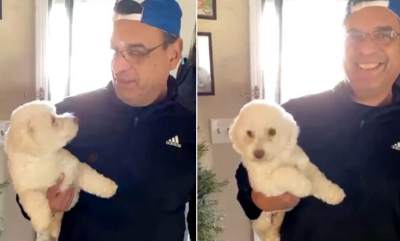 Dad Makes A Hilarious Mix-Up And Comes Home With The Wrong Dog From A Groomer