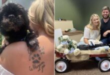 Couple Living In Wisconsin Has Their Wedding At The Vet To Include Their Beloved Dog
