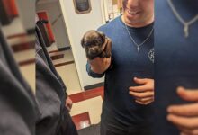 A 25-Day-Old Lab Puppy Stuck In A Can Had To Be Rescued By Firefighters
