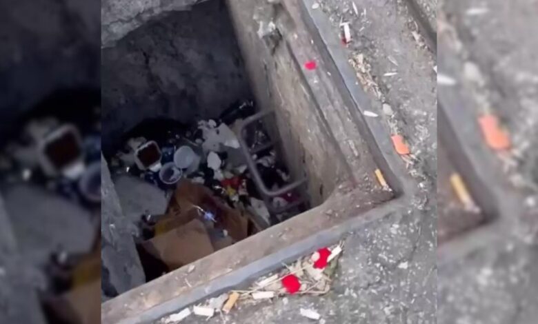 Mysterious Cries Coming From A Storm Drain Launch An Incredible Rescue Mission