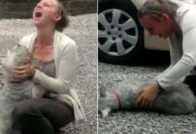 The Reaction Of This Dog To Seeing Her Hooman After 2 Years Will Warm Your Heart