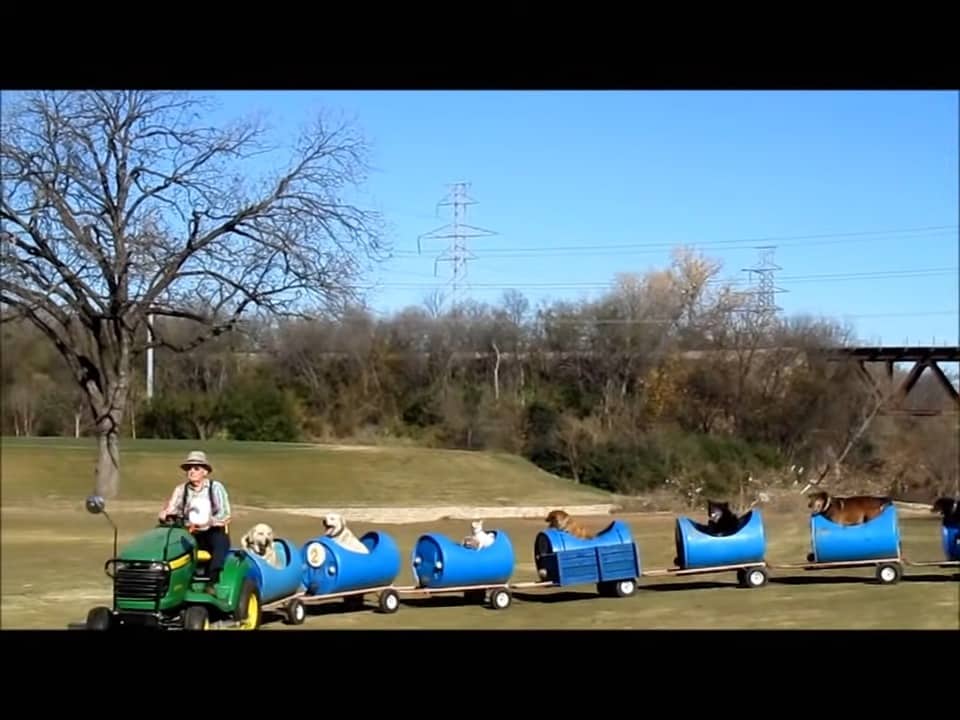 grandpa and his dog train