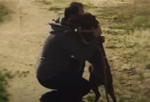 Dog Who Was Reunited With Her Dad After 2 Years Couldn’t Contain Her Excitement
