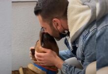 Dog Dumped At Shelter Due To His Bad Behavior Finds A Forever Home In Oregon