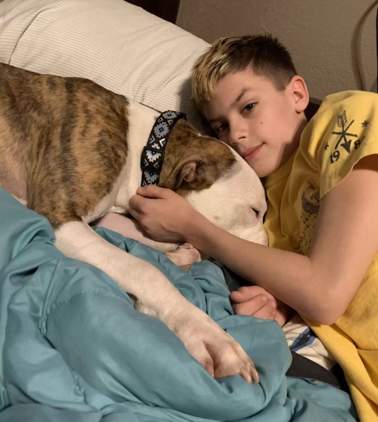 boy lying in bed with a dog named cupid
