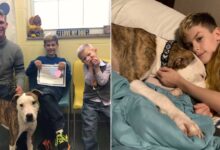 Family Living In Ohio Adopts Their Son And A Dog On The Same Day