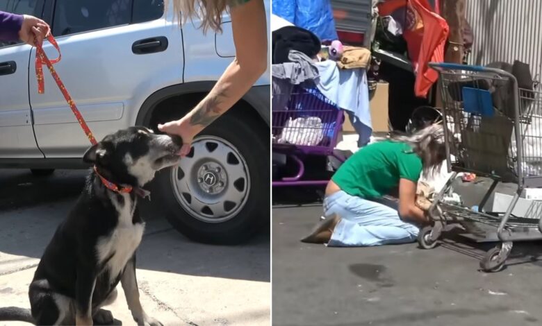 Rescuers Had No Idea They Would Be Saving Two Animals In The Same Mission