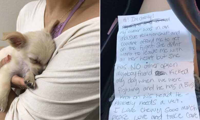 Pup Abandoned In Airport Restroom Found With The Most Heartbreaking Note