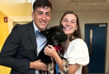 Marine Couple Living In Virginia Changes Their Wedding Plans To Adopt Their Dream Dog