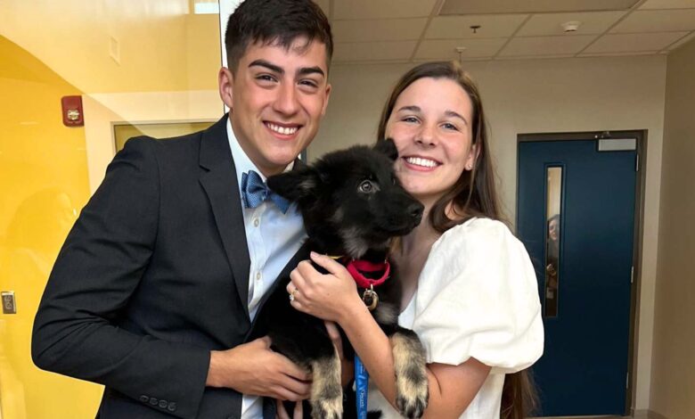 Marine Couple Living In Virginia Changes Their Wedding Plans To Adopt Their Dream Dog