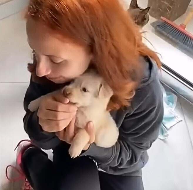 young woman holding puppy
