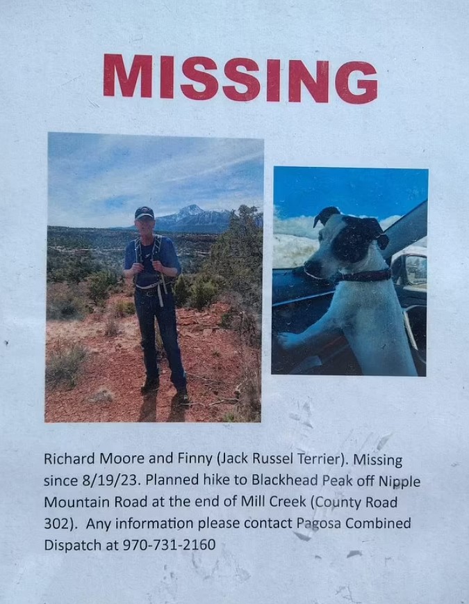 missing poster
