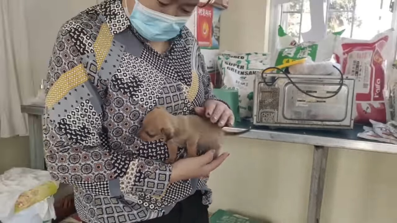 girl with mask holding a puppy