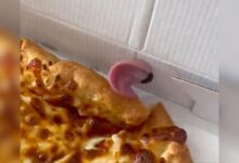 Couple Started Eating Pizza Only To Notice Someone Else Reaching Out For A Bite