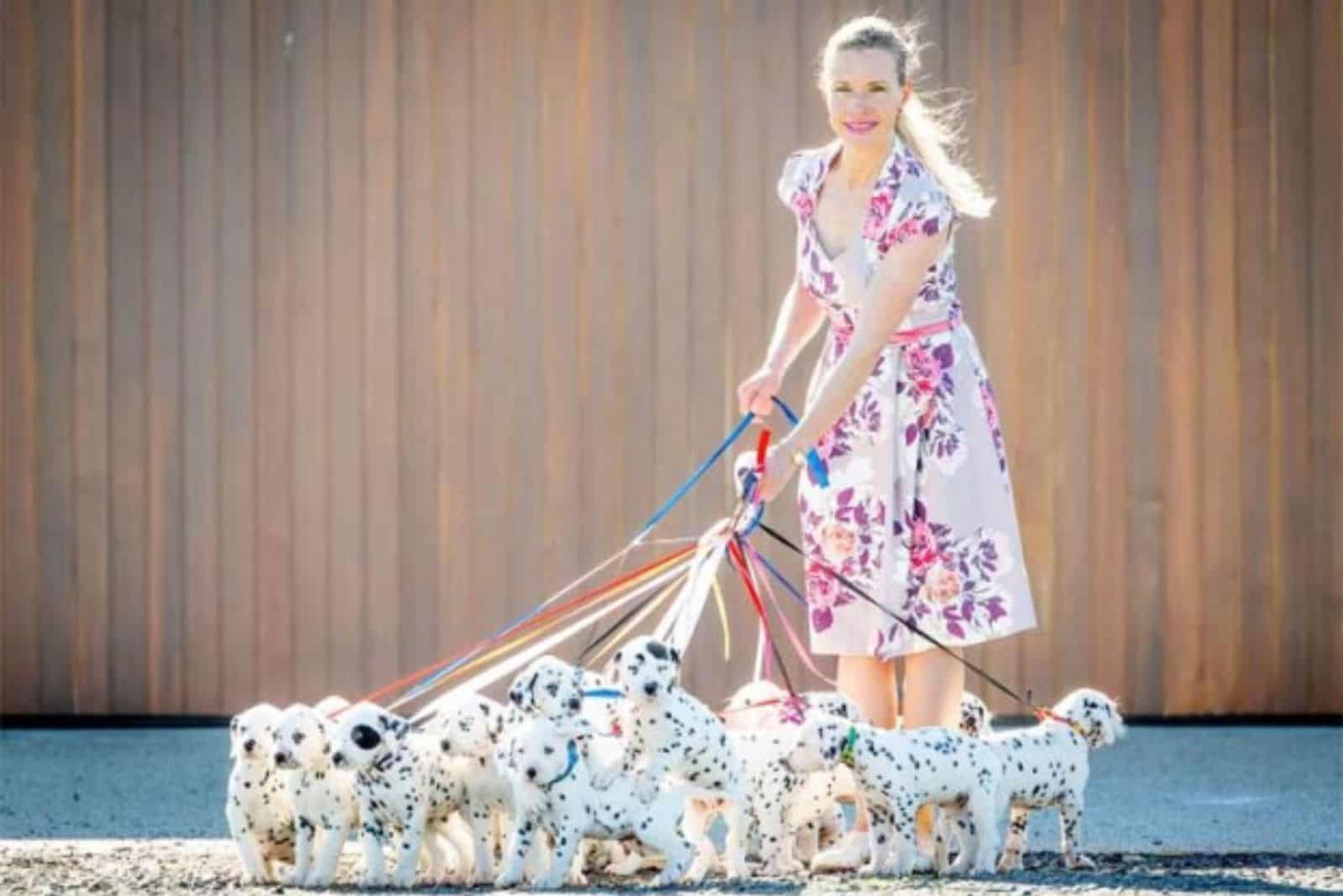 woman with dalmatian puppies on a leash
