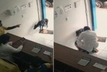 A Stray Dog Visited The Vet Clinic On His Own And That Was The Best Decision In His Life
