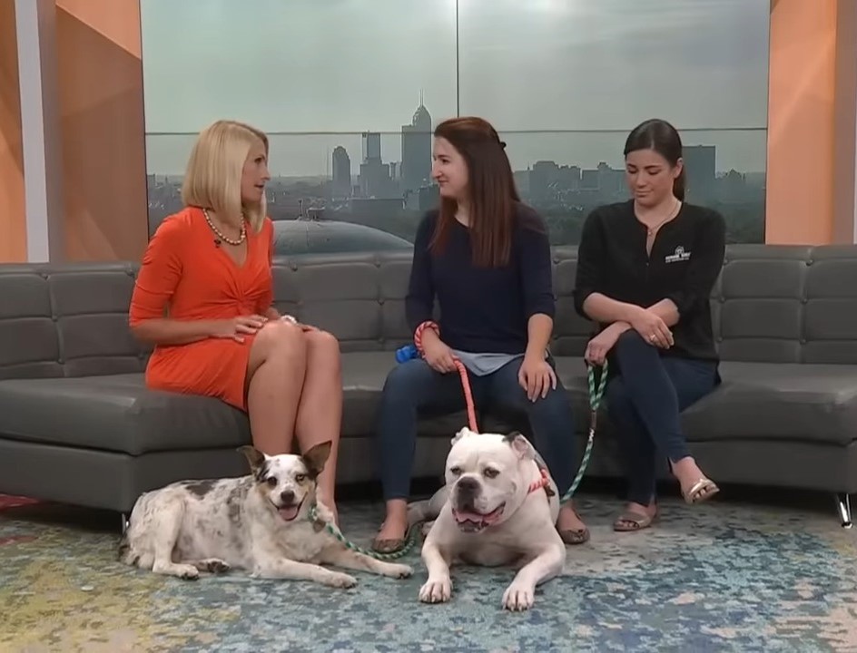 two women with two dogs are guests in the show