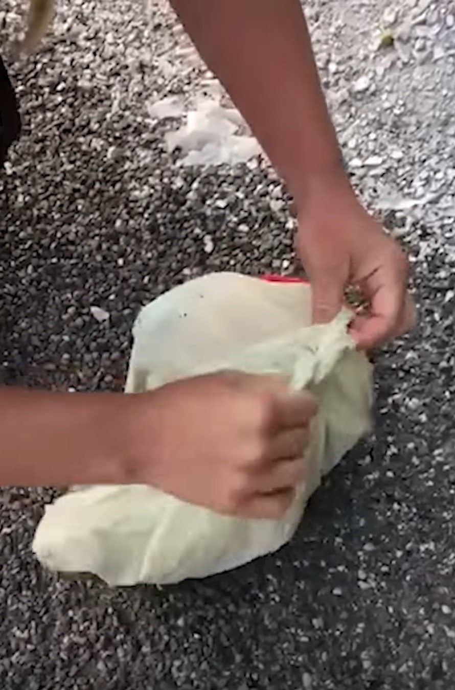 female hands opening the plastic bag